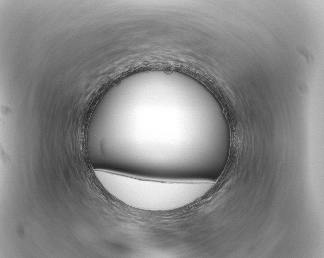 X0000091361490200708101045