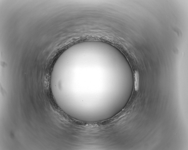 X0000091361491200708101045
