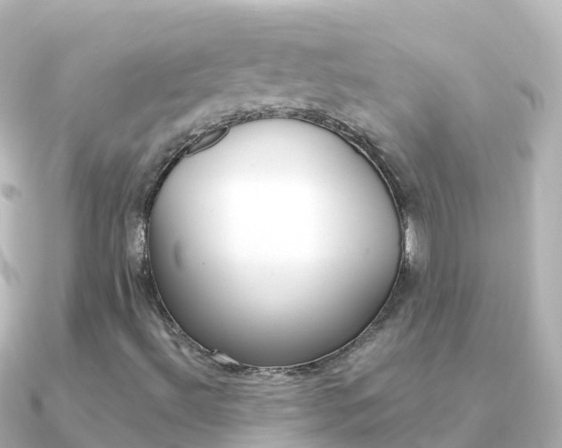 X0000091361492200708101045
