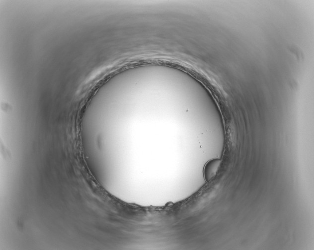 X0000091361494200708101045