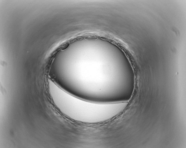 X0000091361496200708101045