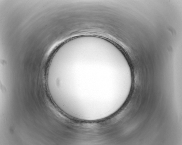 X0000091361498200708101045