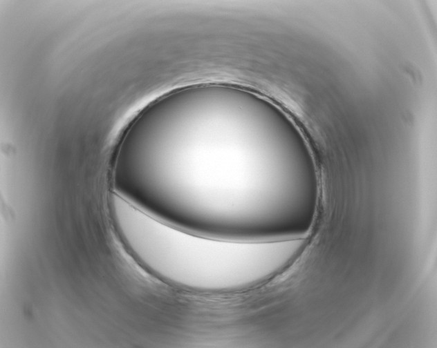 X0000091361500200708101045