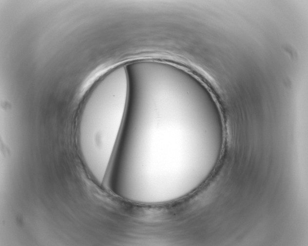 X0000091361501200708101045