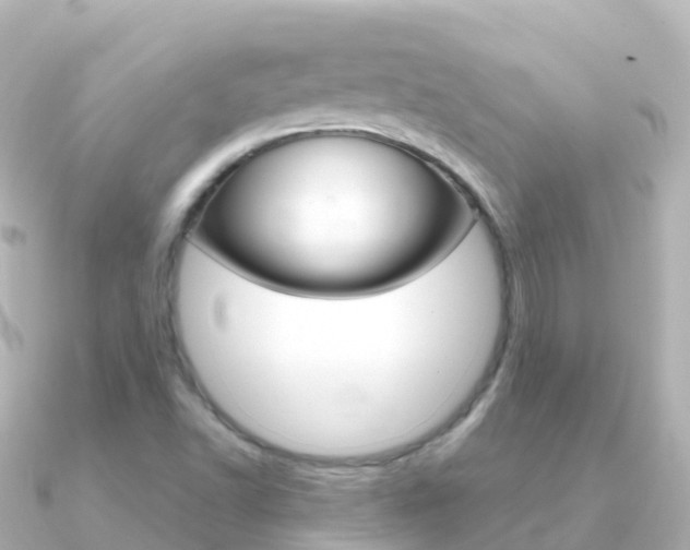 X0000091361502200708101045