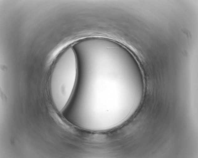 X0000091361503200708101045