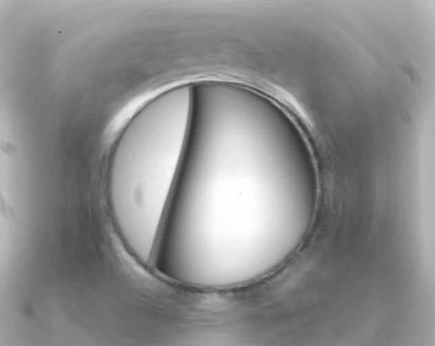 X0000091361504200708101045