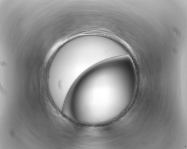 X0000091361506200708101045