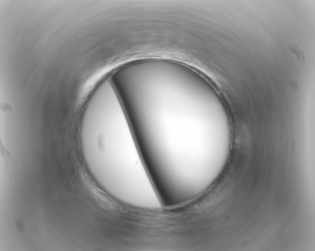 X0000091361507200708101045