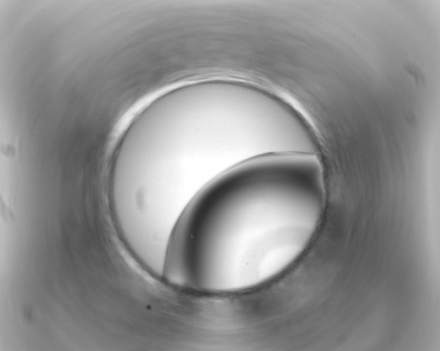X0000091361508200708101045