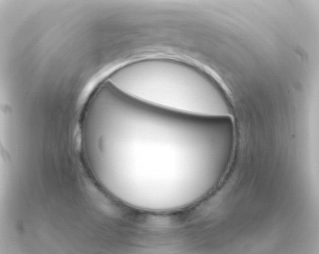 X0000091361509200708101045