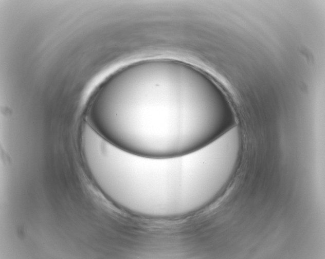 X0000091361510200708101045