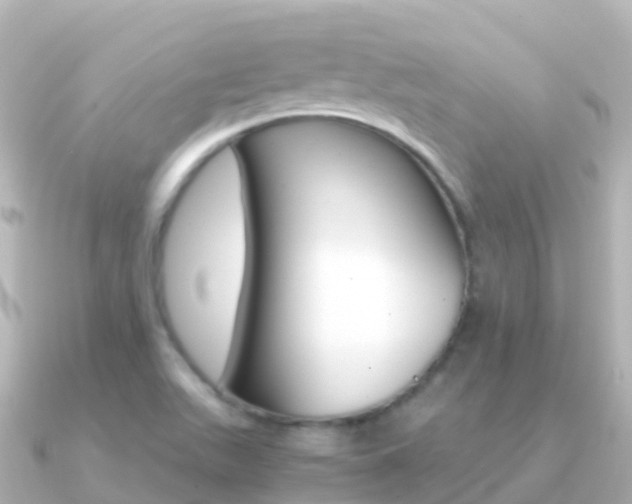 X0000091361511200708101045