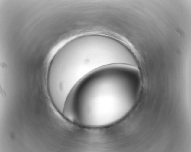 X0000091361512200708101045