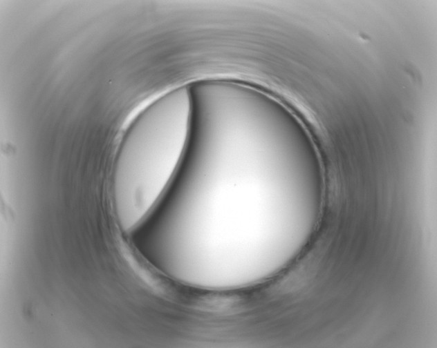 X0000091361513200708101045