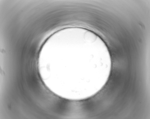 X0000091361514200708101045