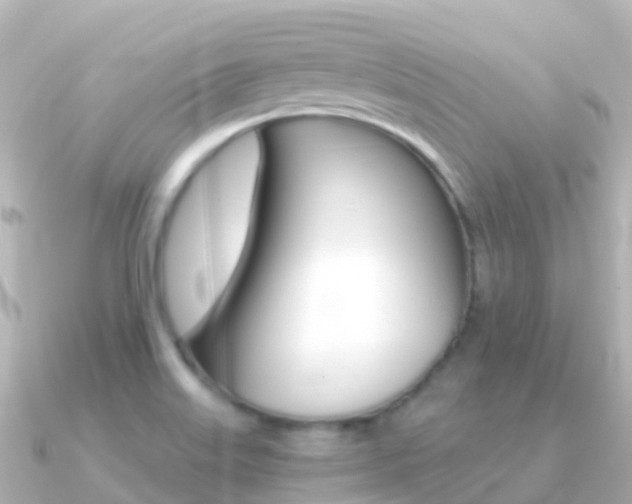 X0000091361515200708101045