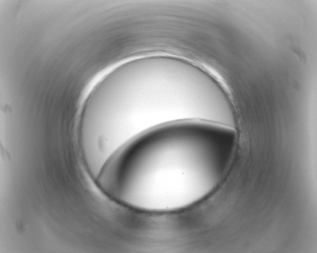 X0000091361516200708101045
