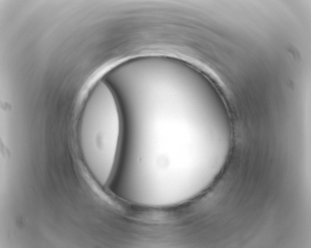 X0000091361517200708101045