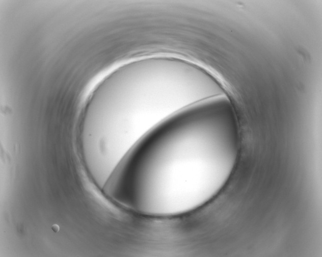 X0000091361518200708101045
