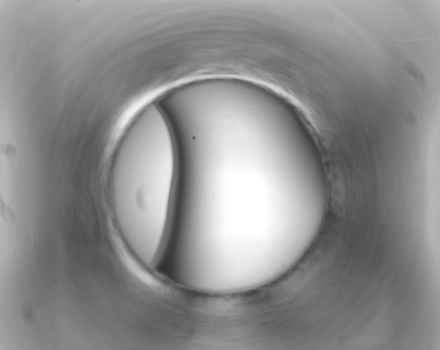 X0000091361519200708101045