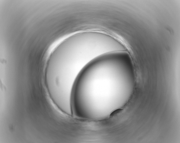 X0000091361520200708101045