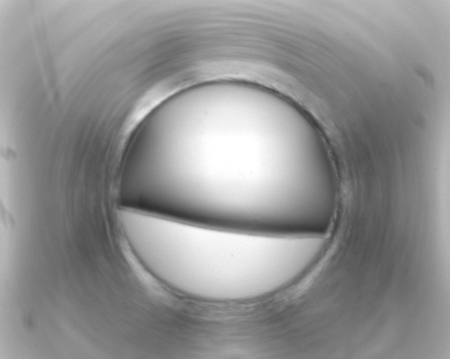 X0000091361521200708101045