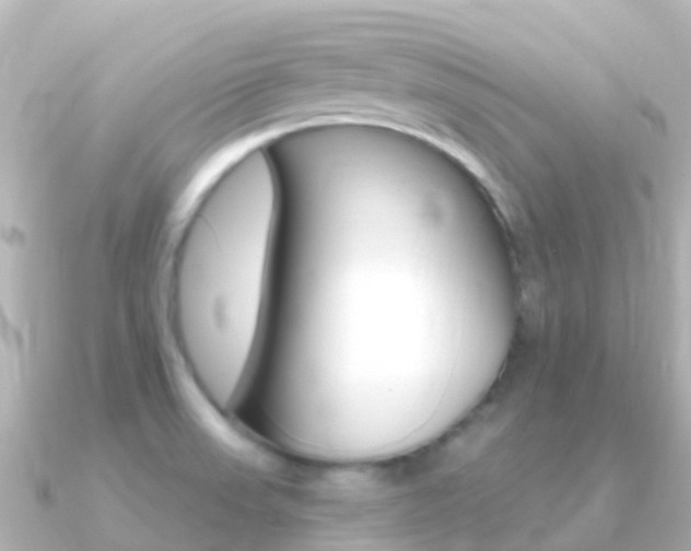 X0000091361523200708101046