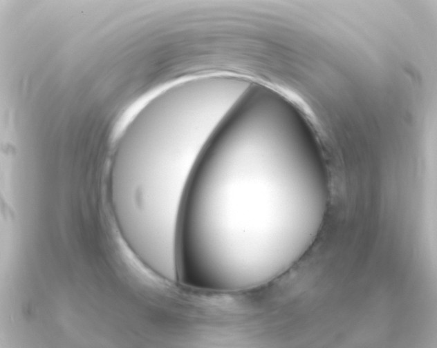 X0000091361524200708101046