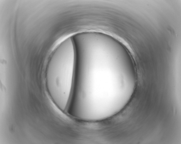 X0000091361525200708101046