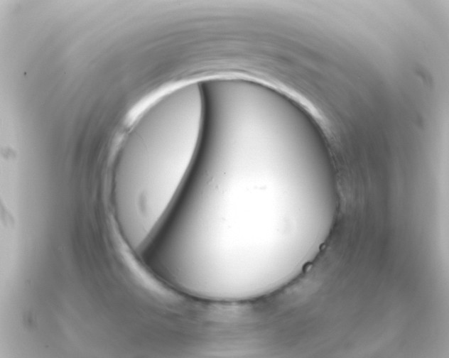 X0000091361526200708101046