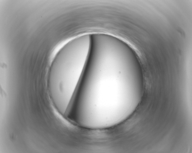X0000091361527200708101046