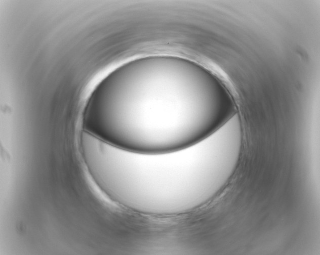 X0000091361528200708101046