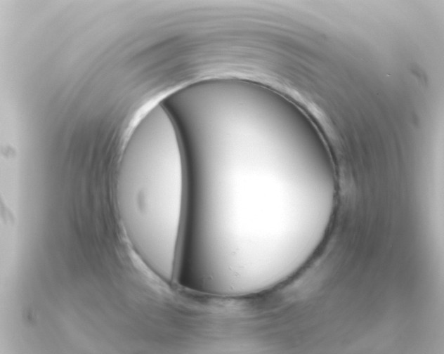 X0000091361529200708101046