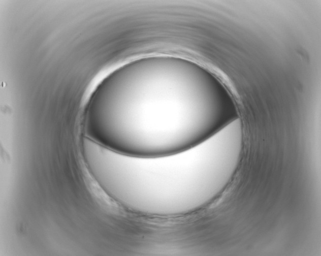 X0000091361530200708101046