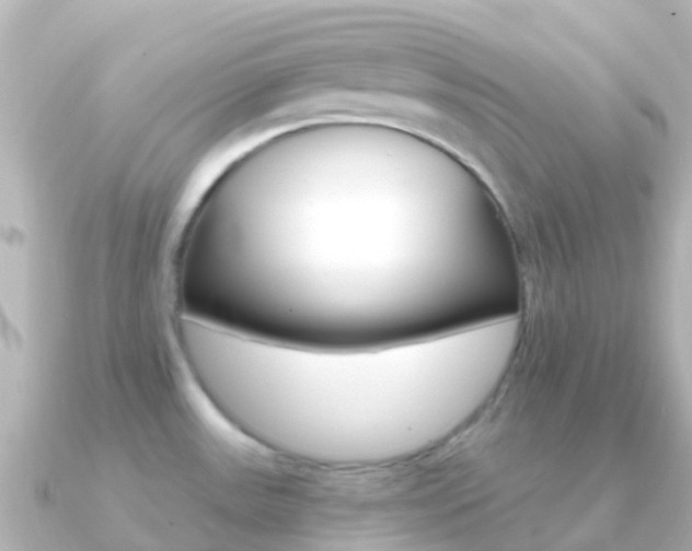 X0000091361531200708101046