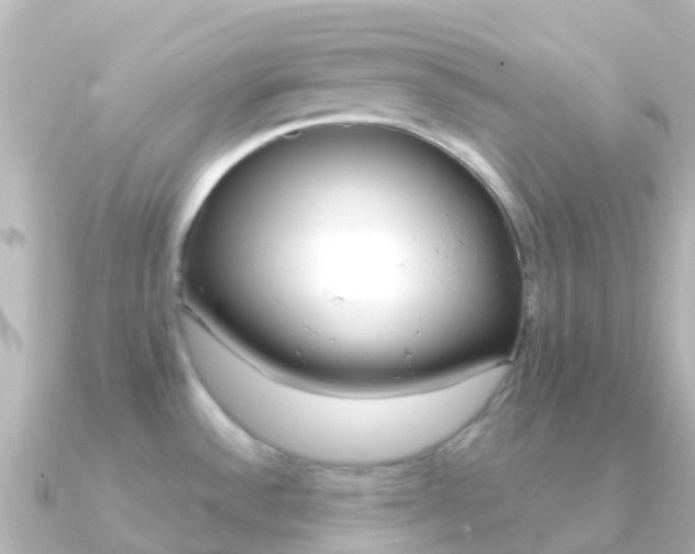 X0000091361532200708101046