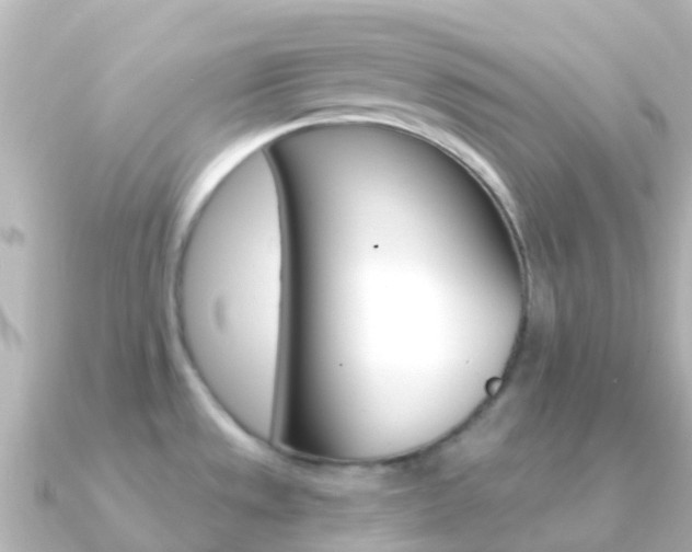 X0000091361533200708101046