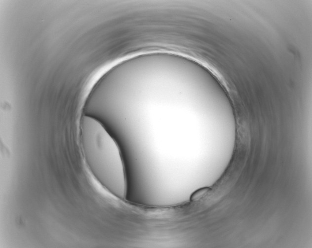 X0000091361535200708101046