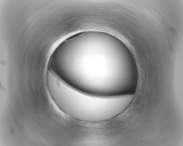 X0000091361536200708101046