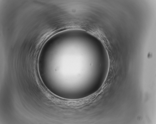 X0000091360001200708101429