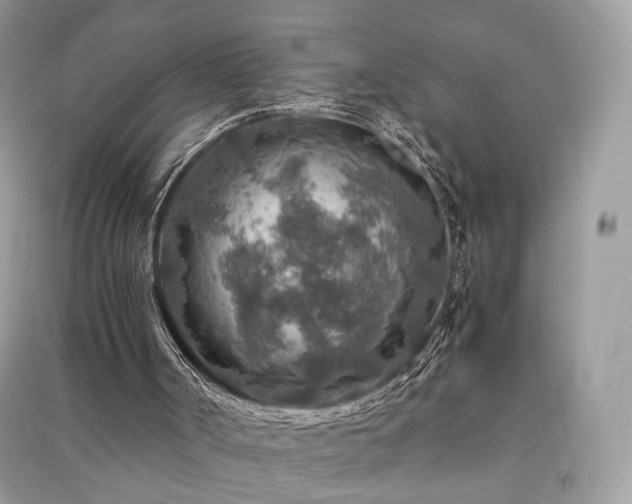X0000091360002200708101429