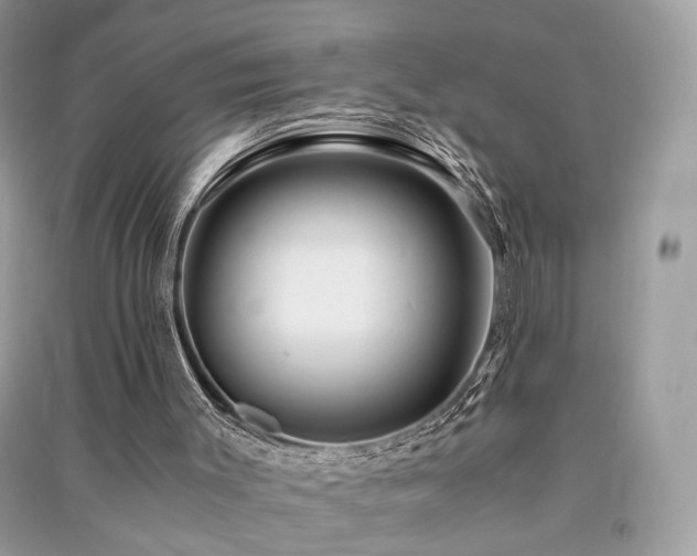 X0000091360003200708101429