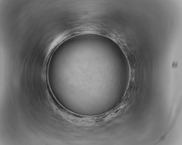 X0000091360004200708101429