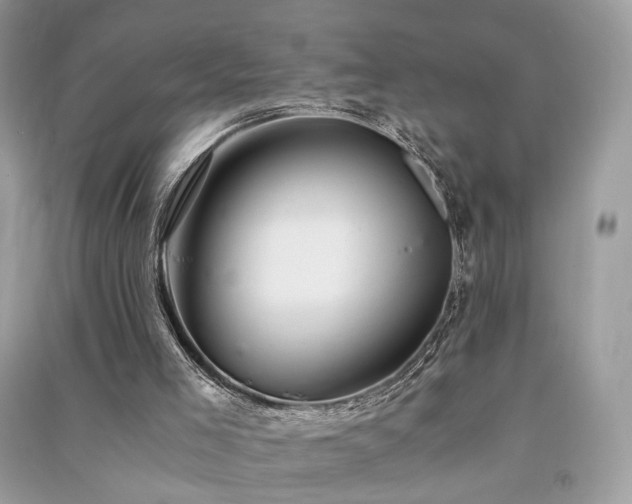 X0000091360005200708101429