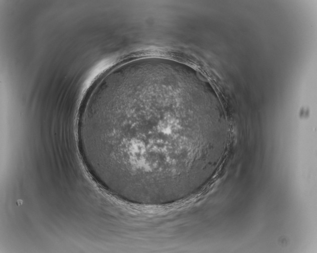 X0000091360006200708101429