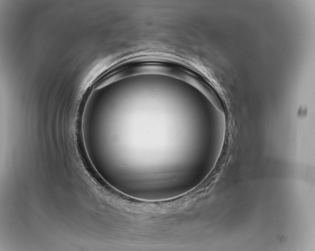X0000091360007200708101429