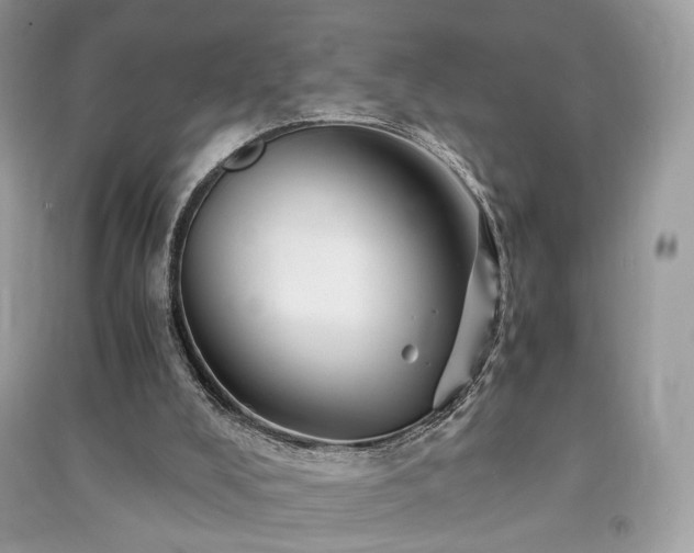 X0000091360008200708101429