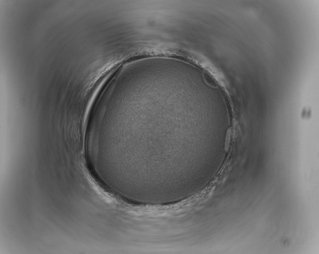 X0000091360009200708101429