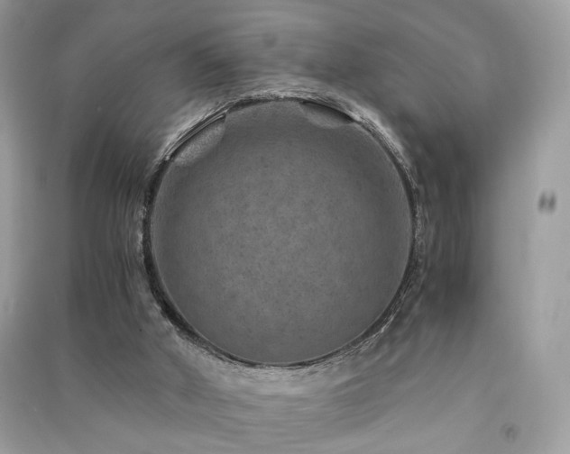 X0000091360010200708101429